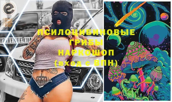 a pvp Вязьма