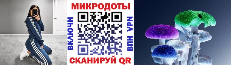 Галлюциногенные грибы мухоморы  Городище 
