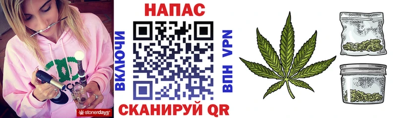 как найти закладки  Городище  Бошки Шишки семена 
